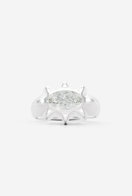 ALARA EARTH RING